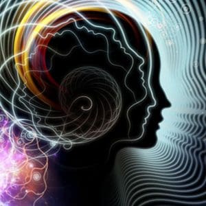 2 CE Hours - <b style="color:#ff0000;">"Finally Friday" Special Pricing </b> Introduction to Polyvagal Theory <sm><br><b>DATE:</b> Friday, February 27, 2026 </sm><sm><br><b>TIME:</b> 10:00 am - 12:00 pm EST>