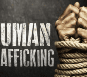 2 CE Hours - Bridging Awareness and Practice: Human Trafficking Foundations for Clinicians <sm><br><b>DATE:</b> Thursday, June 11, 2026 </sm><sm><br><b>TIME:</b> 5:30 pm - 7:30 pm EST</sm>
