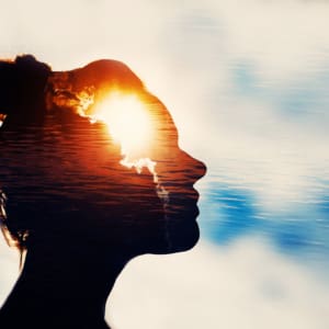 Experience the Power of Imagery for Client Transformation: Introduction to Transformative Insight Imagery (3HR) - Presented by Dreya Blume