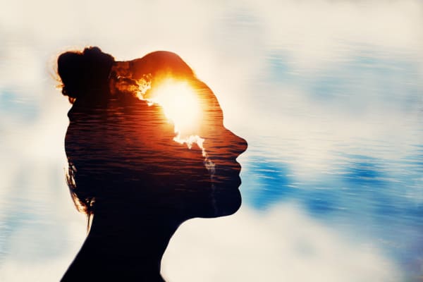 Experience the Power of Imagery for Client Transformation: Introduction to Transformative Insight Imagery (3HR) - Presented by Dreya Blume