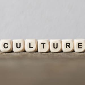 2 CE Hours - Exploring the Cultural Formulation Interview (CFI) <sm><br><b>DATE:</b> Thursday, May 7, 2026 </sm><sm><br><b>TIME:</b> 5:30 pm - 7:30 pm EST</sm>