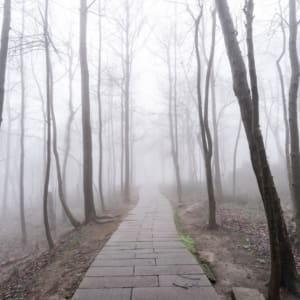 3 CE Hours - Sacred Goodbyes: Grief Practices Across Cultures and Spiritual Traditions <sm><br><b>DATE:</b> Saturday, October 18, 2025 </sm><sm><br><b>TIME:</b> 1:30 pm - 4:30 pm EST</sm>