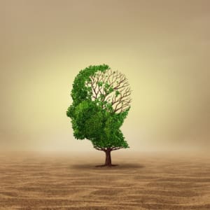 3 CE Hours - Climate Anxiety & Ecological Grief: Tools for Sustainable Hope <sm><br><b>DATE:</b> Saturday, February 21, 2026 </sm><sm><br><b>TIME:</b> 1:30 pm - 4:30 pm EST</sm>