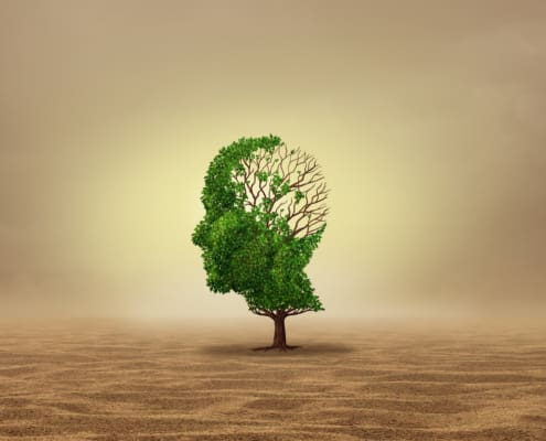 Mental Health And Heatave