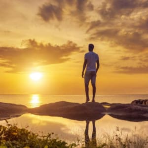 3 CE Hours - Eco-Mindfulness for Trauma Recovery <sm><br><b>DATE:</b> Saturday, May 9, 2026 </sm><sm><br><b>TIME:</b> 9:30 am - 12:30 pm EST</sm>