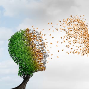 3 CE Hours - The Aging Brain <sm><br><b>DATE:</b> Saturday, August 1, 2026 </sm><sm><br><b>TIME:</b> 1:30 pm - 4:30 pm EST</sm>