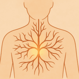 2 CE Hours - Understanding the Traumatized Nervous System: Keys to Healing <sm><br><b>DATE:</b> Thursday, November 5, 2026 </sm><sm><br><b>TIME:</b> 5:30 pm - 7:30 pm EST</sm>