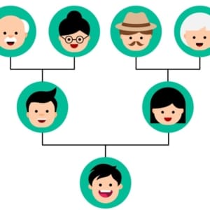 Genogram Techniques for Individual Therapy (1.5HR) Presented by Danielle Doskocil, LMHC