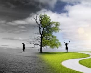 Trauma To Transformation 495x400