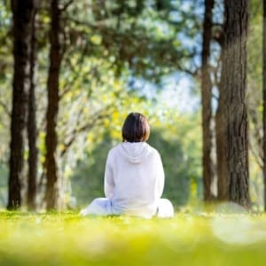 Introduction to Mindfulness in Therapeutic Practice (1.5HR) Presented by Dreya Blume, LCSW
