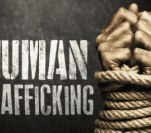 Bridging Awareness and Practice: Human Trafficking Foundations for Clinicians (2HR) Presented by Amanda Mole LCSW